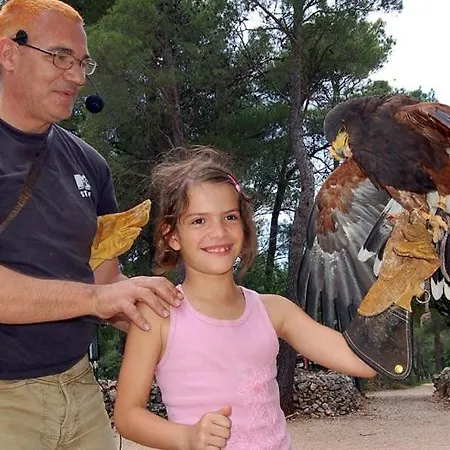 Lucia * ロゾヴァック